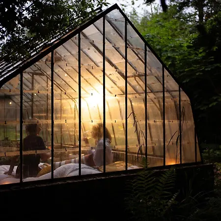La Petite Foret Antique Greenhouse In Lodge