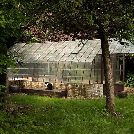 La Petite Foret Antique Greenhouse In Lodge *