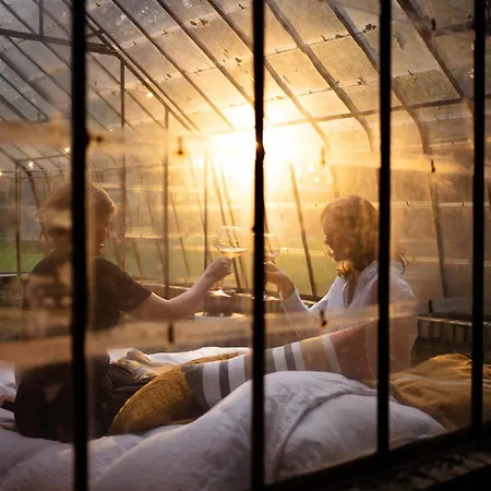 La Petite Foret Antique Greenhouse In * Asse