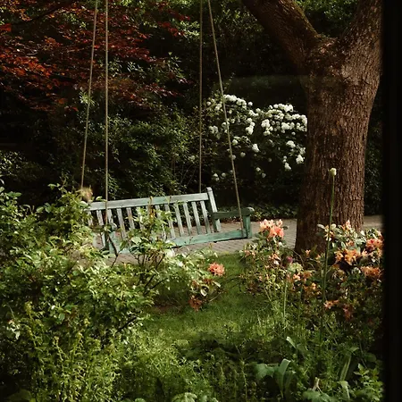 La Petite Foret Antique Greenhouse In * Asse